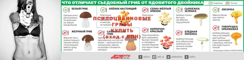 Галлюциногенные грибы мухоморы  купить наркотик  Дно 